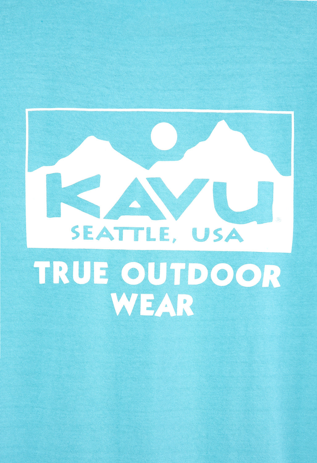 KAVU True Men's T-Shirt - Seafoam