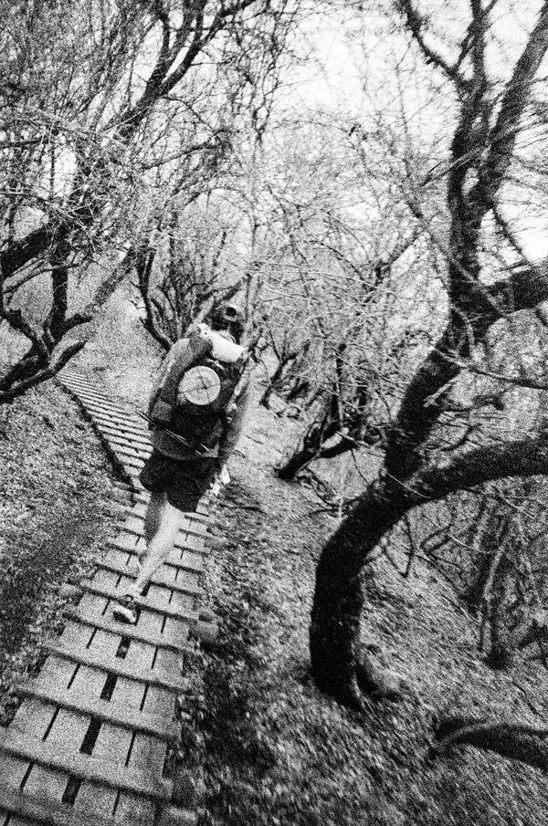 Trip Report: Charlie in Japan