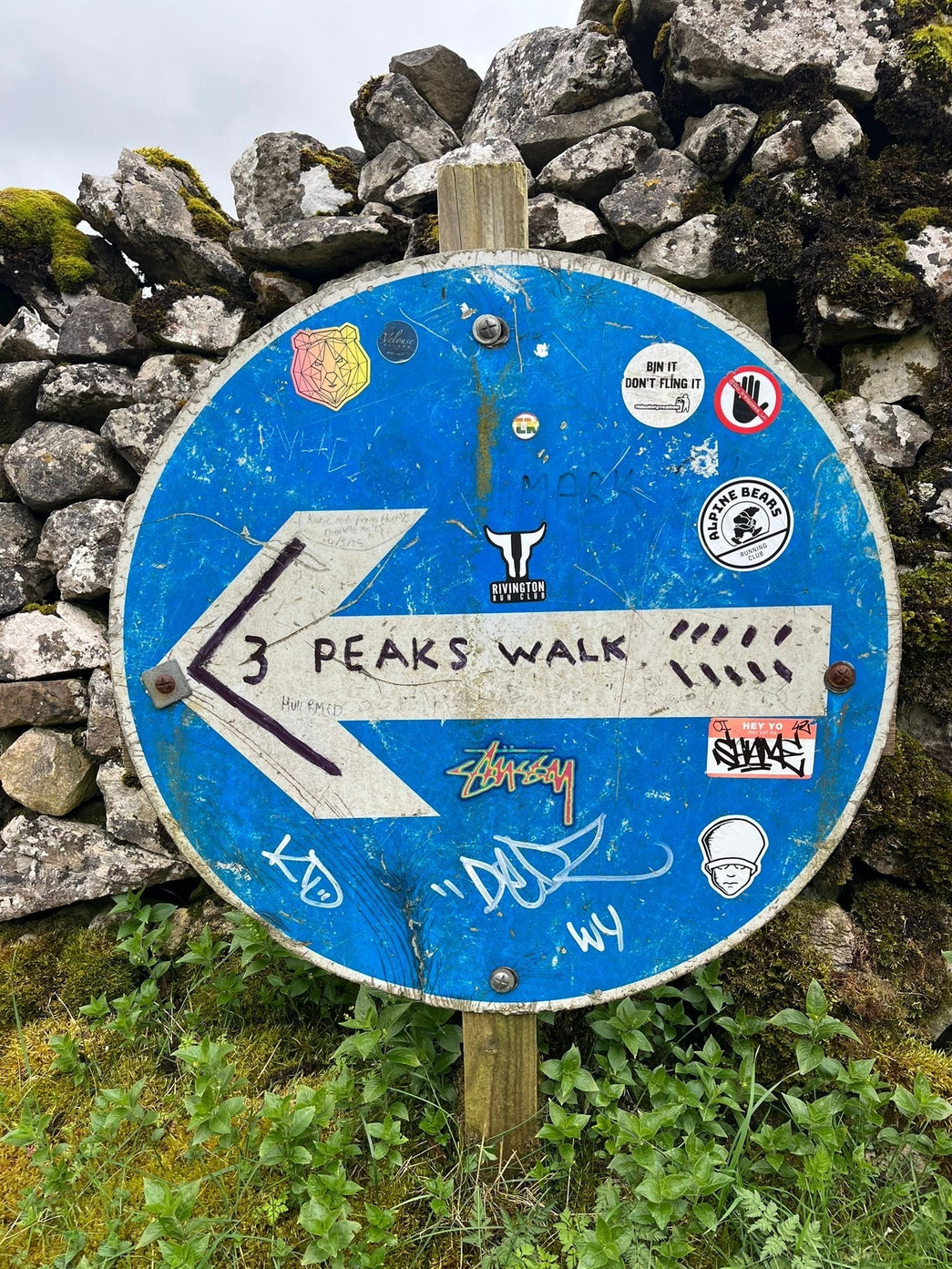 Trip Report: Chi & Tom do the Y3P