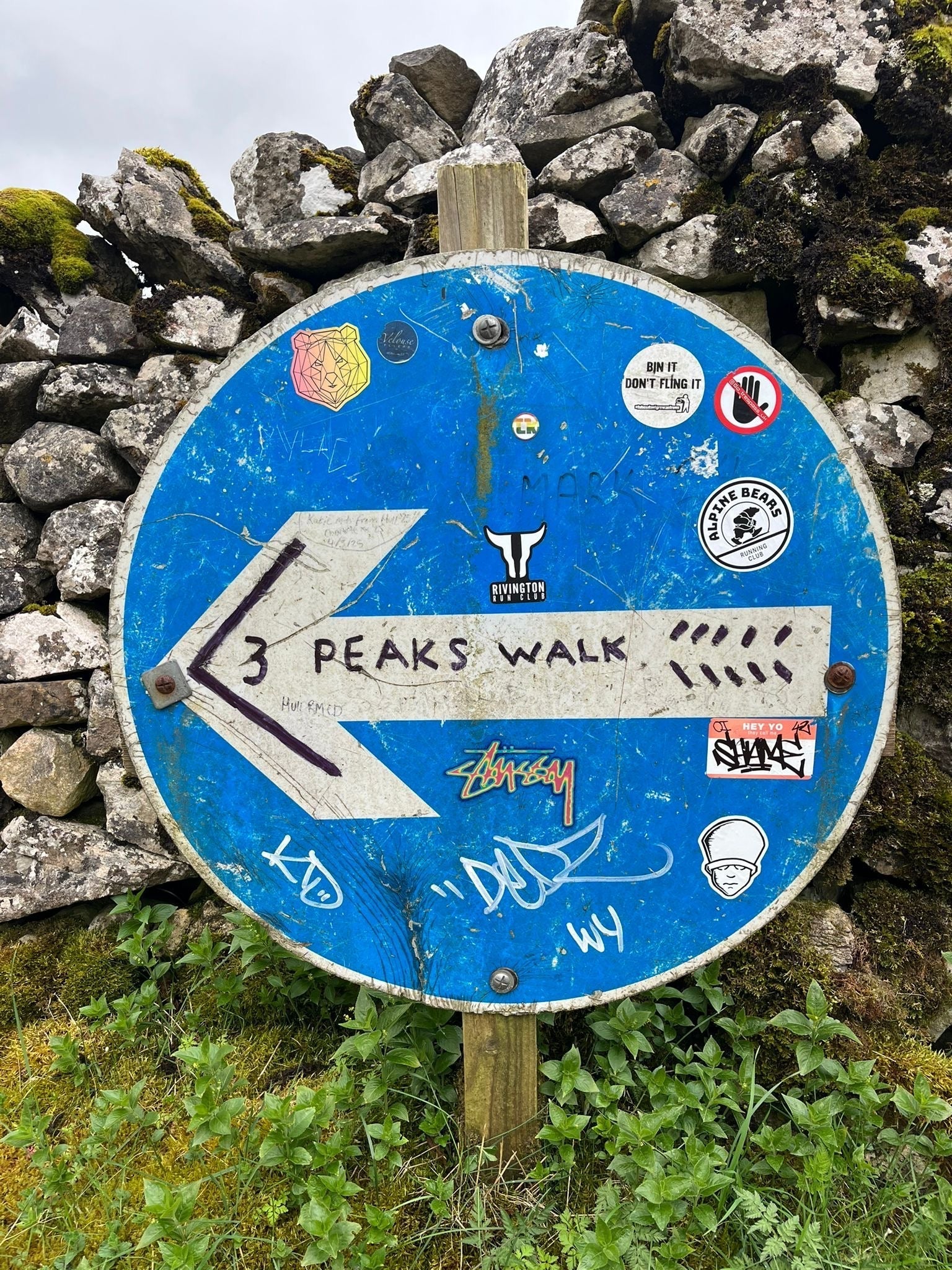 Trip Report: Chi & Tom do the Y3P