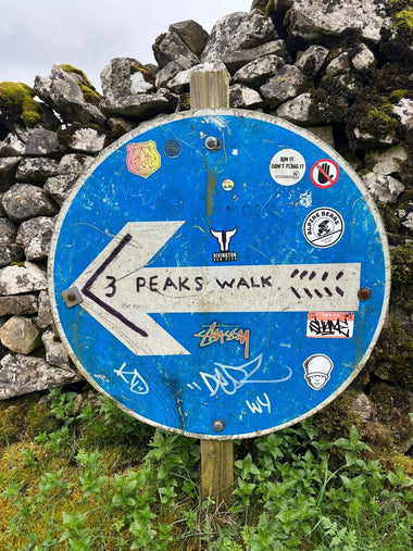 Trip Report: Chi & Tom do the Y3P