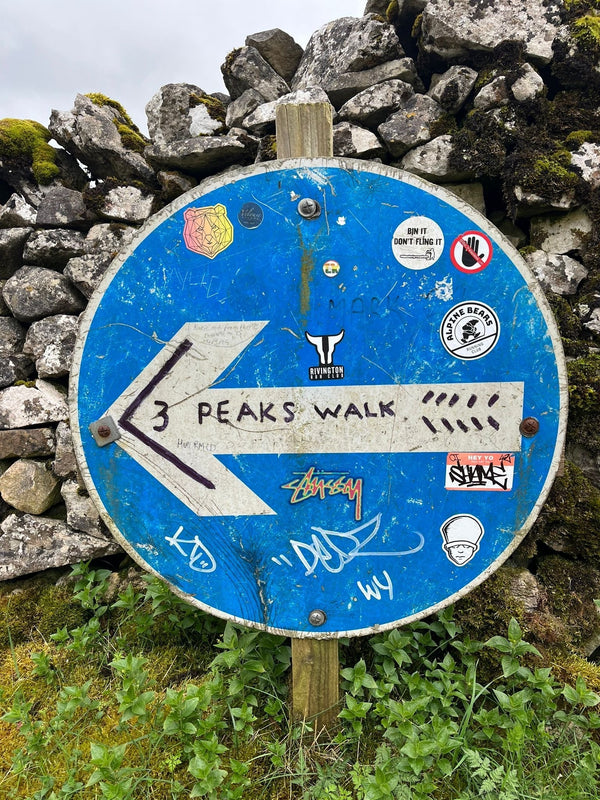 Trip Report: Chi & Tom do the Y3P