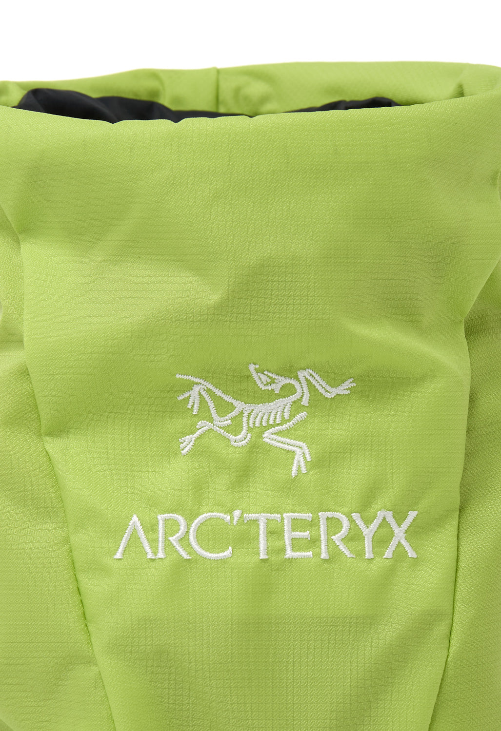 Arc'teryx Ion SL Chalkbag - Mantis