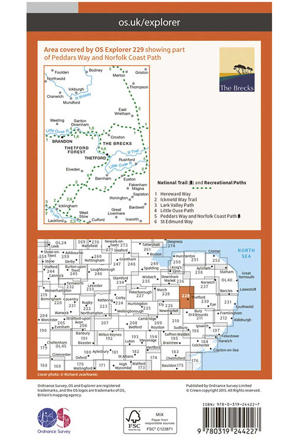 Ordnance Survey Thetford Forest in The Brecks, Thetford & Brandon - OS Explorer 229 Map