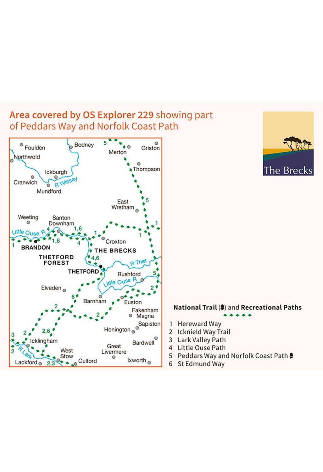 Ordnance Survey Thetford Forest in The Brecks, Thetford & Brandon - OS Explorer 229 Map