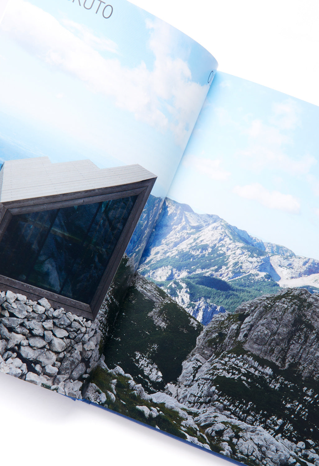 Hartcopy Aesthetic Survival