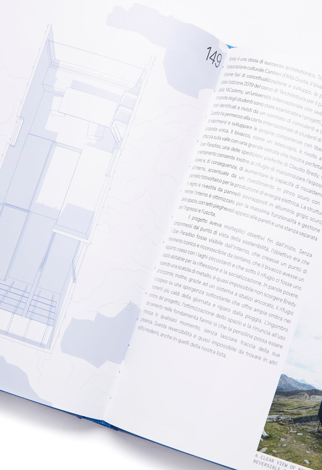 Hartcopy Aesthetic Survival