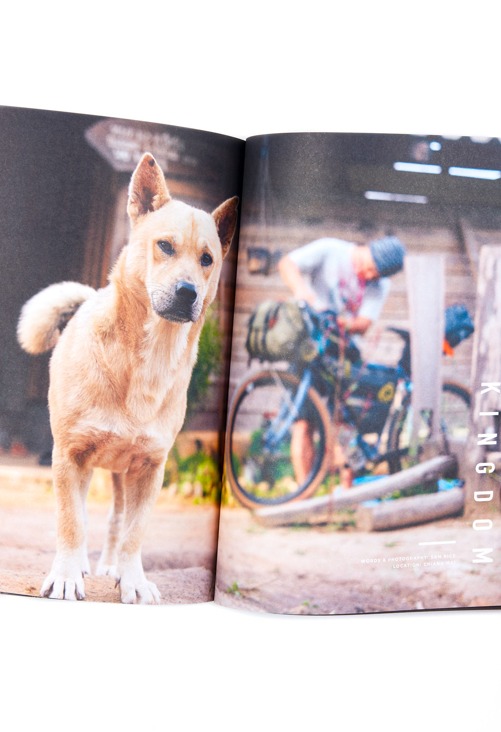 Sidetracked Volume 28
