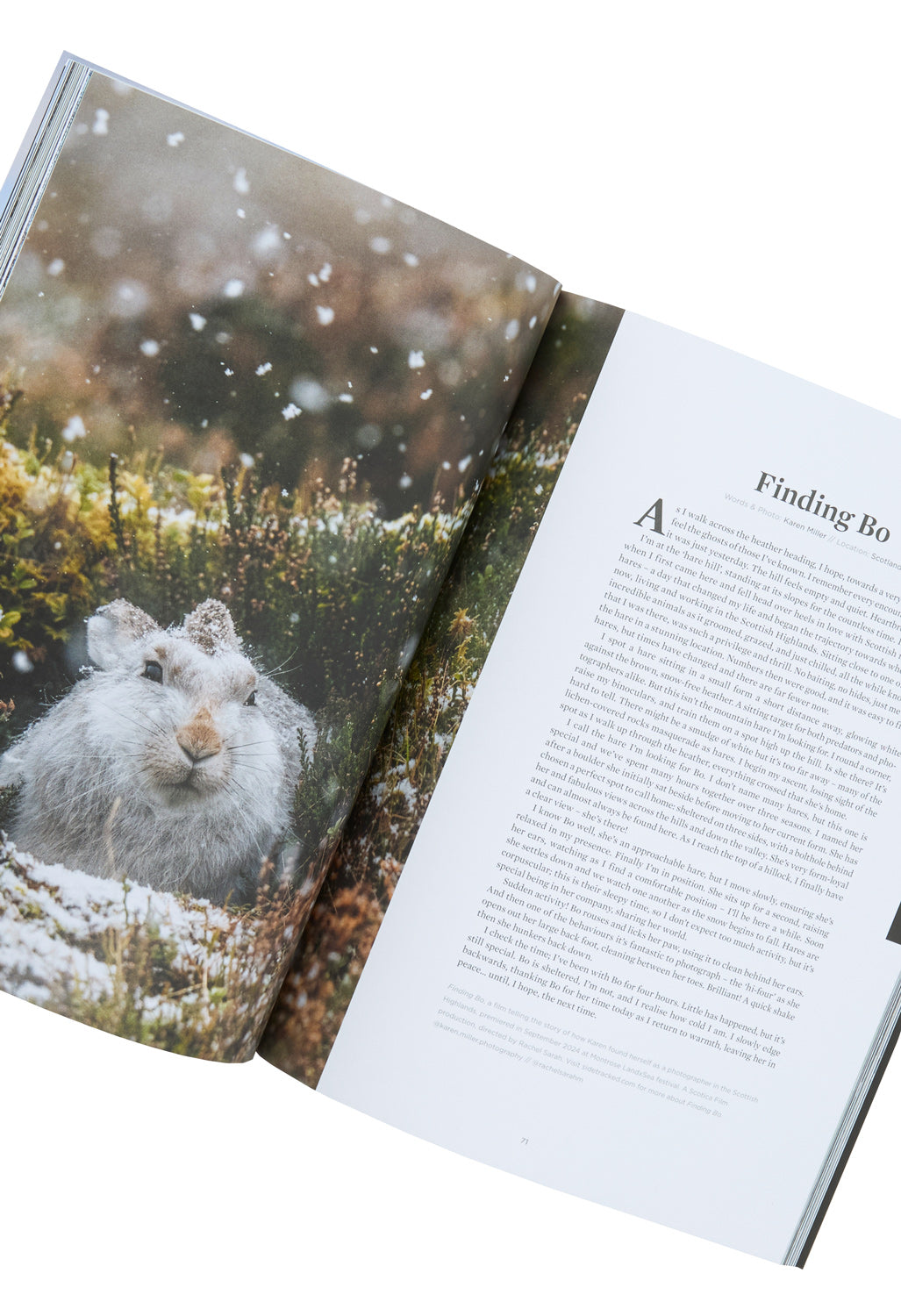 Sidetracked Magazine Volume 31