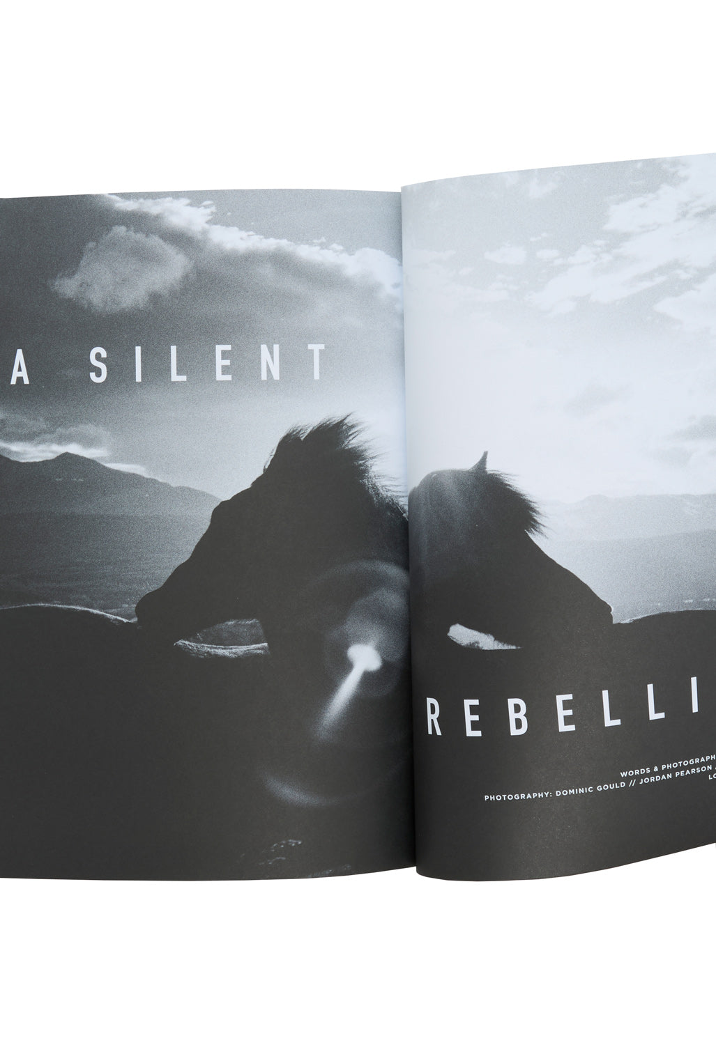Sidetracked Magazine Volume 31