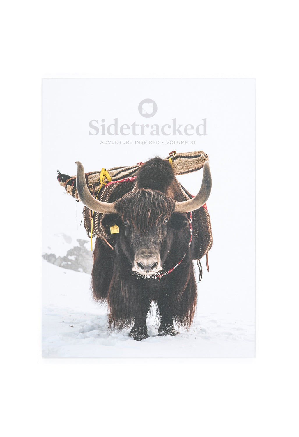 Sidetracked Magazine Volume 31