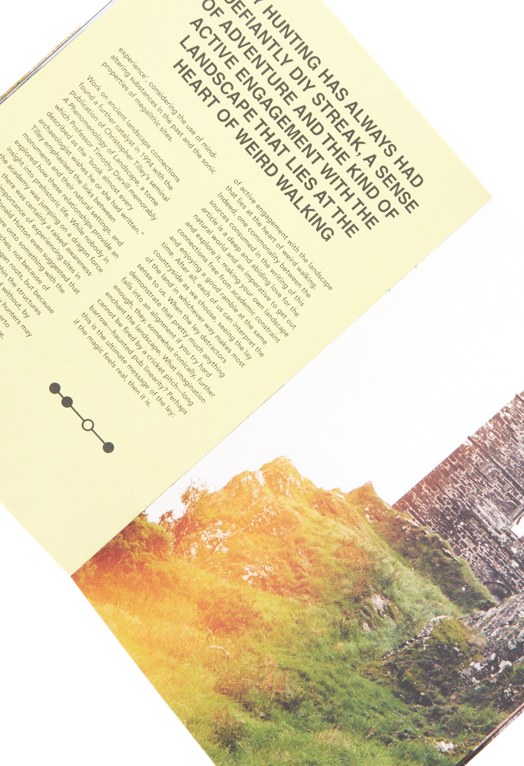 Weird Walk Leyline Zine