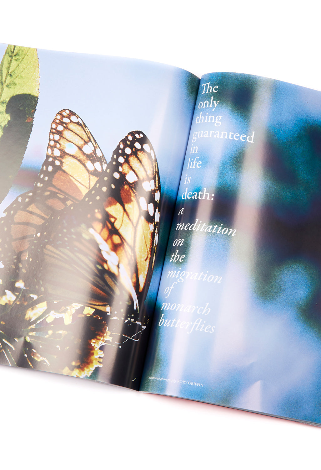 Orienteer Issue 08 - Great Monarch Cover