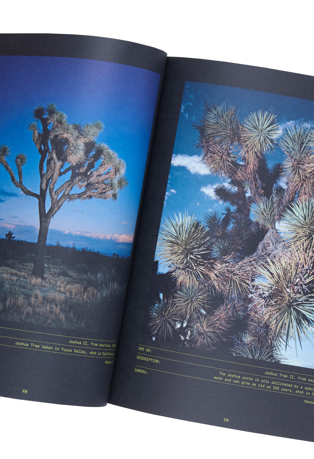 Field Mag Print Issue 01 - Women & The Wind Cover