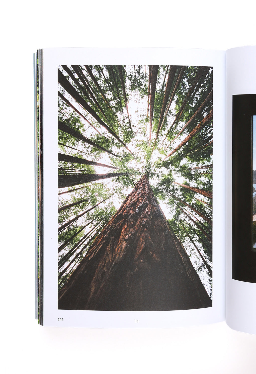 Field Mag Print Issue 02 - Alex Strohl Cover