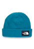The North Face Salty Lined Beanie 10