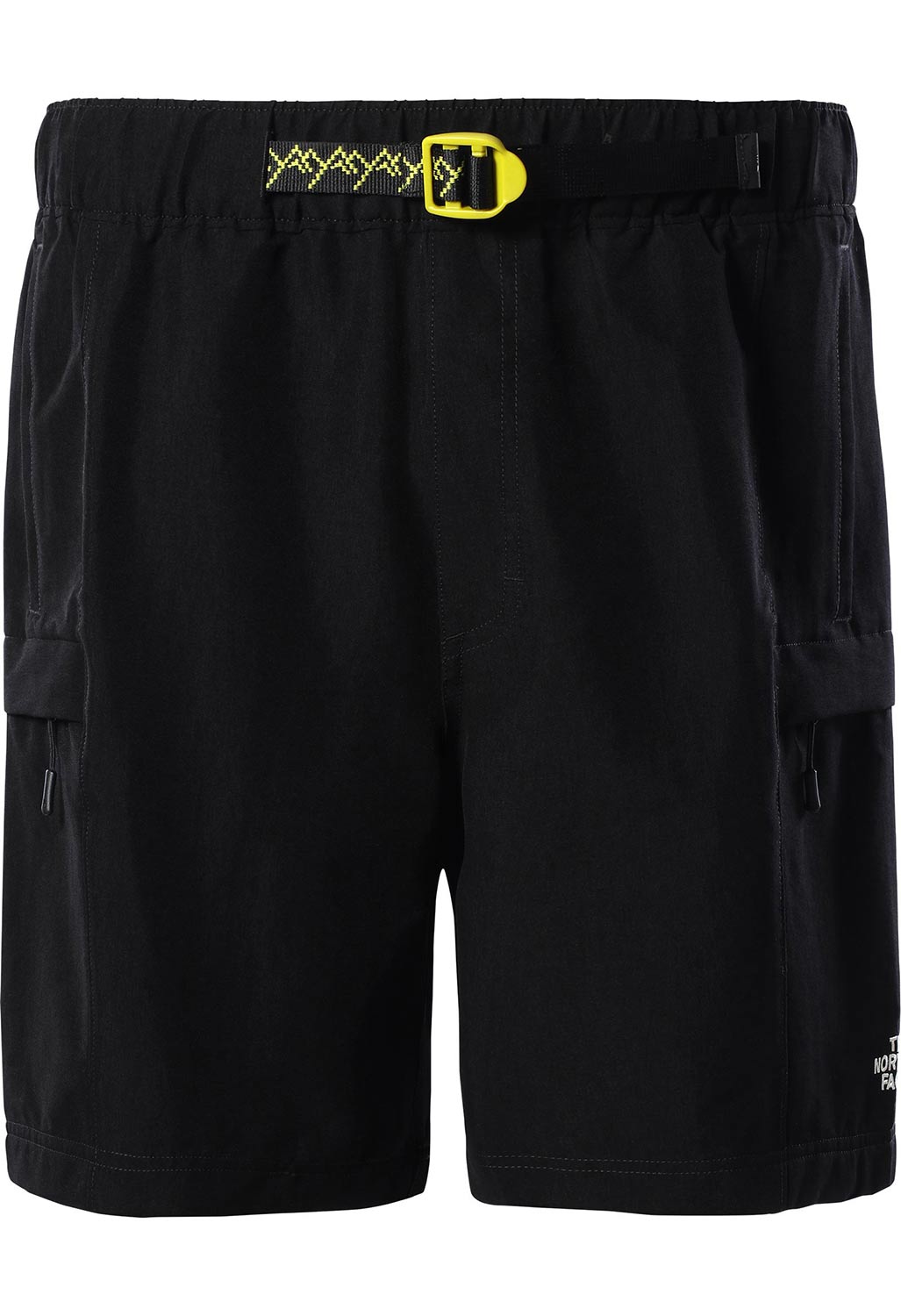 The North Face Class V Belted Men's Shorts 1