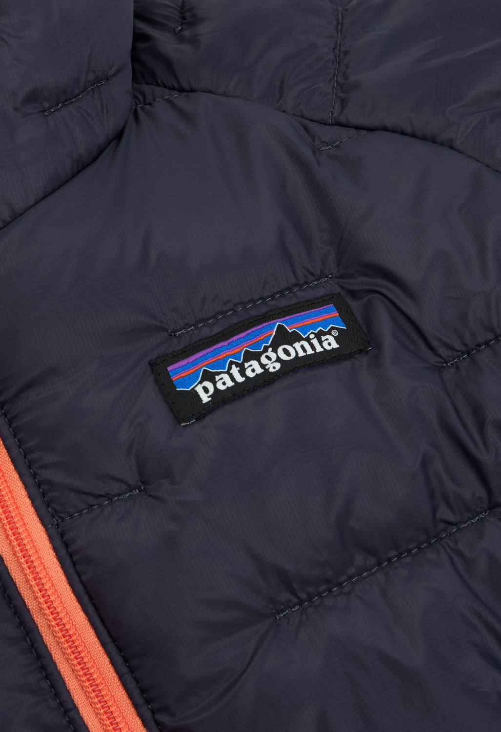Patagonia Women's Micro Puff Hoody - Smolder Blue / P6 Blue