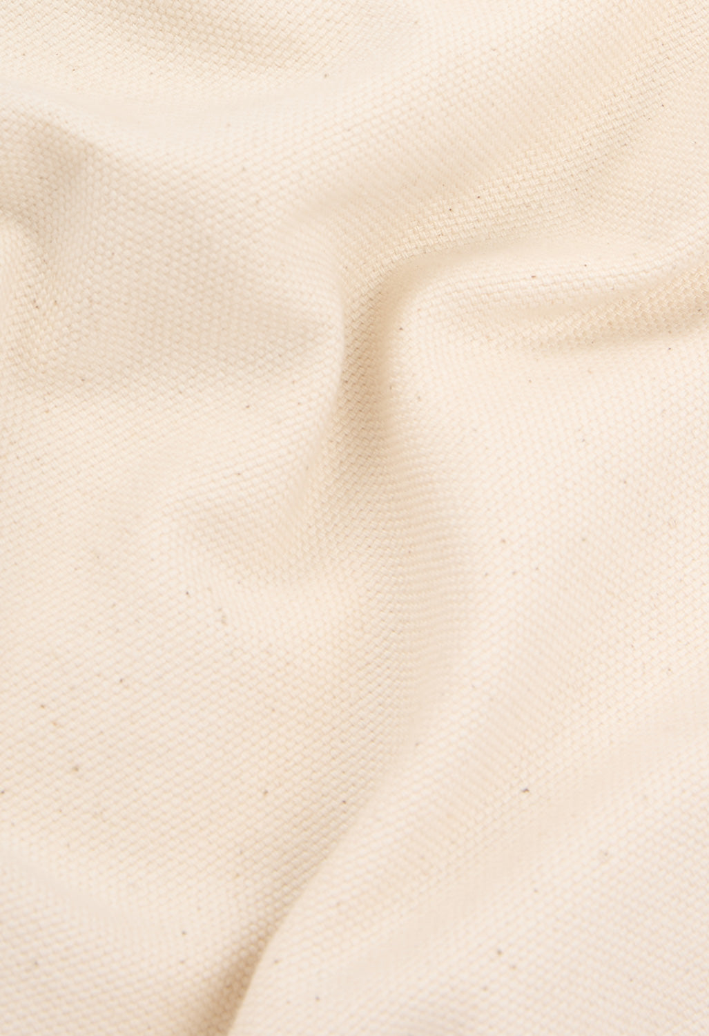 Patagonia Women's Point Reyes Canvas Wide Leg Pants - Undyed Natural