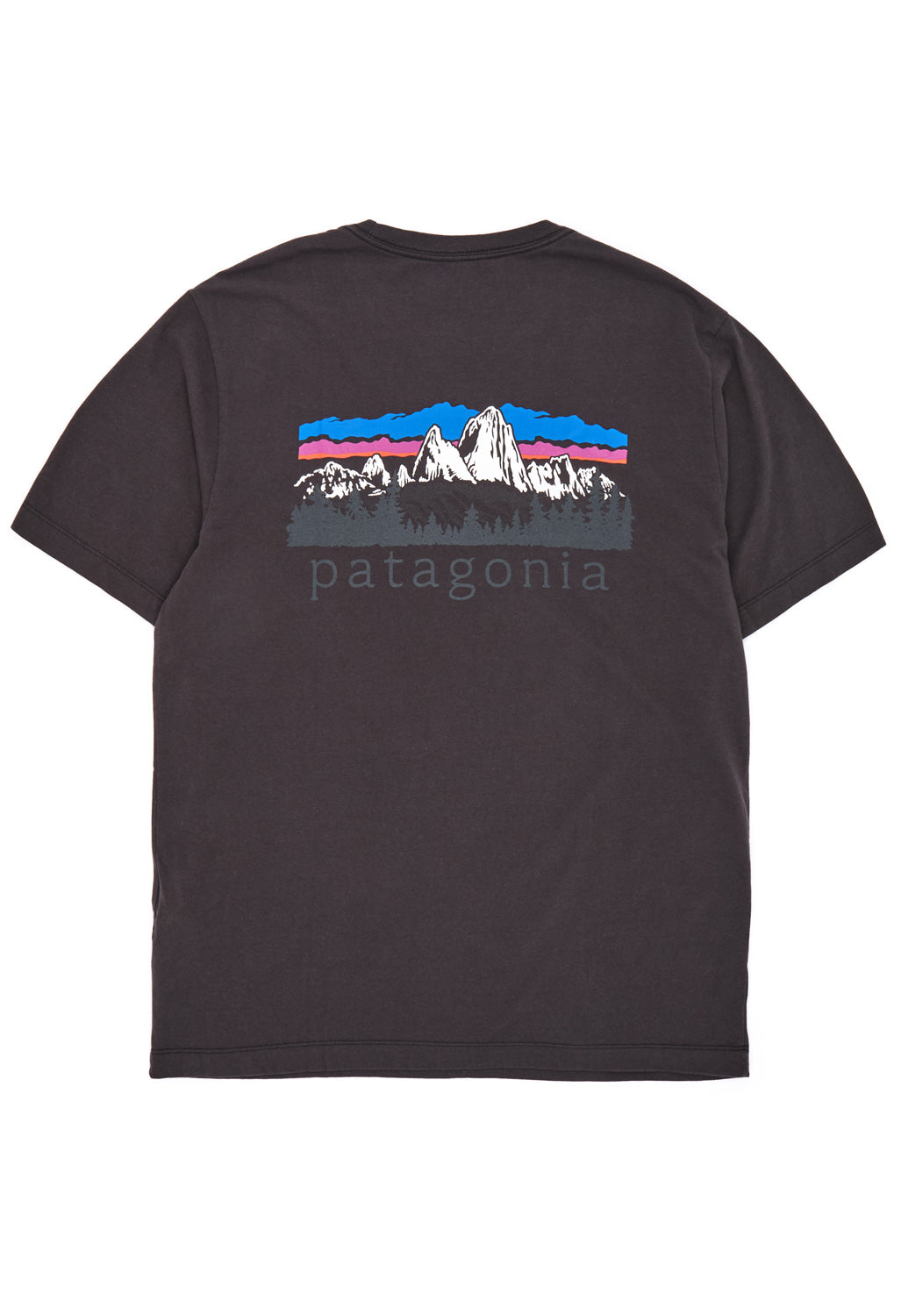 Patagonia Men's Fitz Roy Foothills Ringer Tee - Ink Black