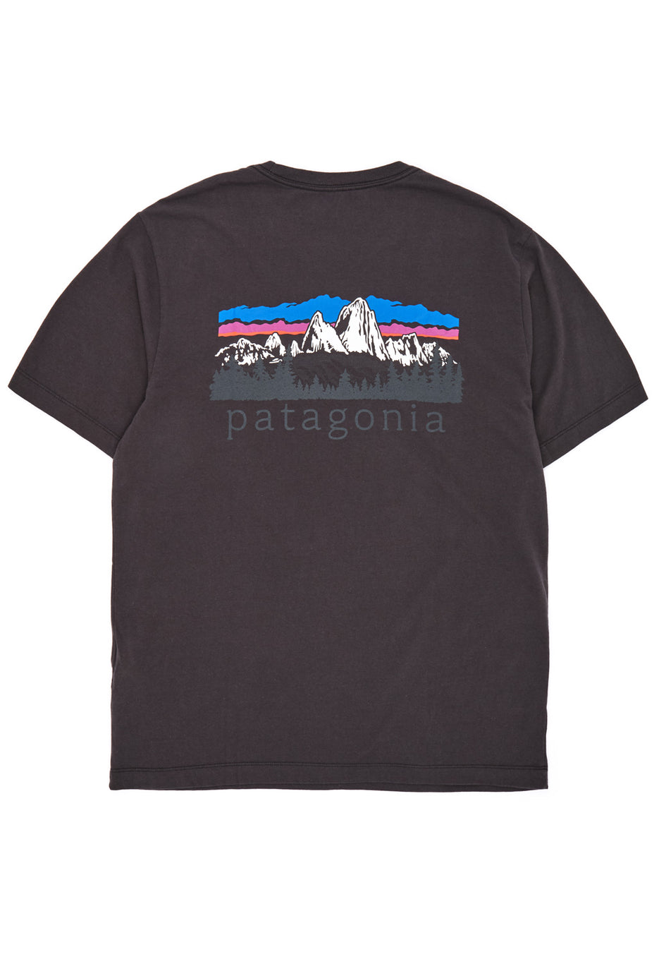 Patagonia Men's Fitz Roy Foothills Ringer Tee - Ink Black