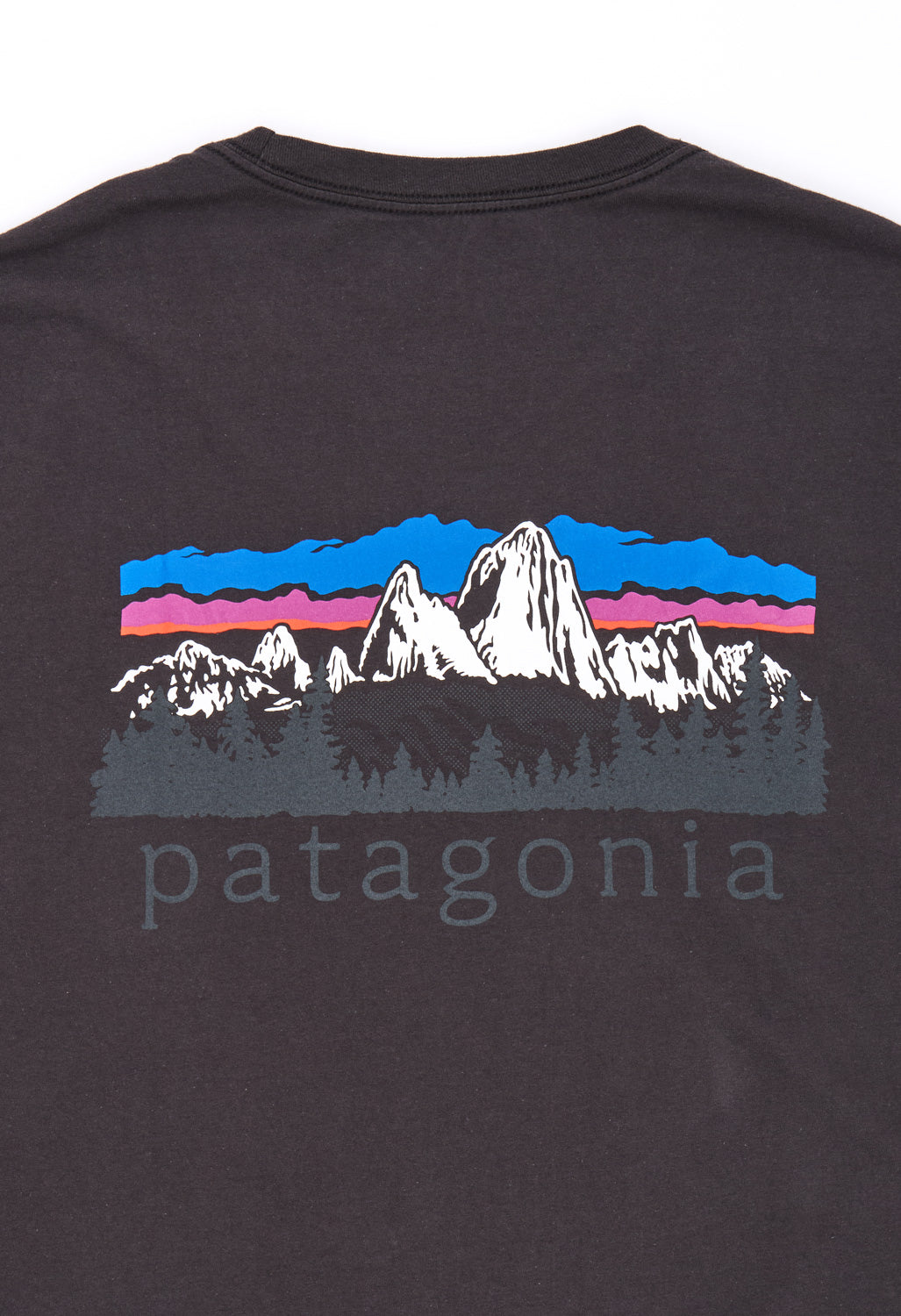 Patagonia Men's Fitz Roy Foothills Ringer Tee - Ink Black