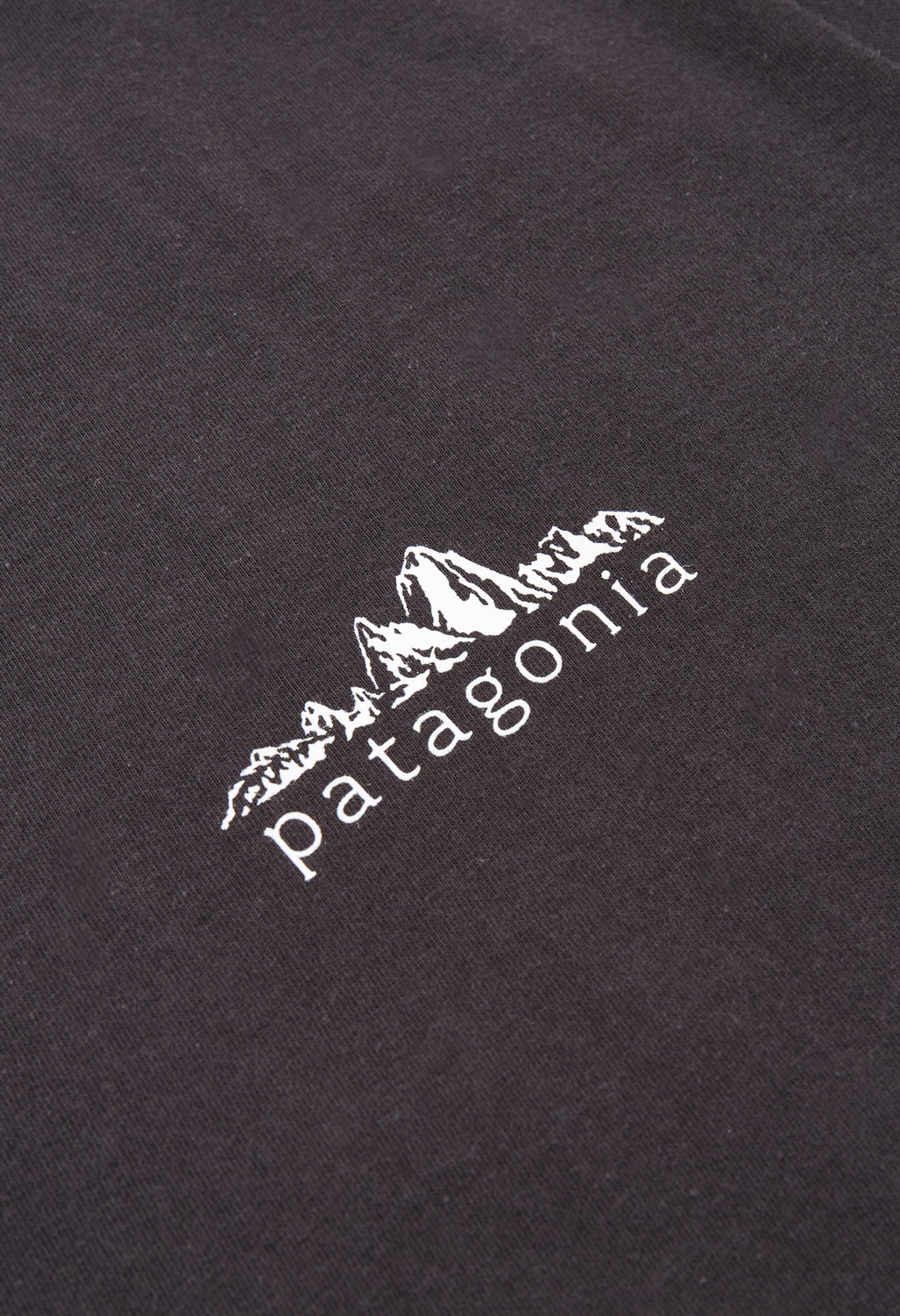 Patagonia Men's Fitz Roy Foothills Ringer Tee - Ink Black