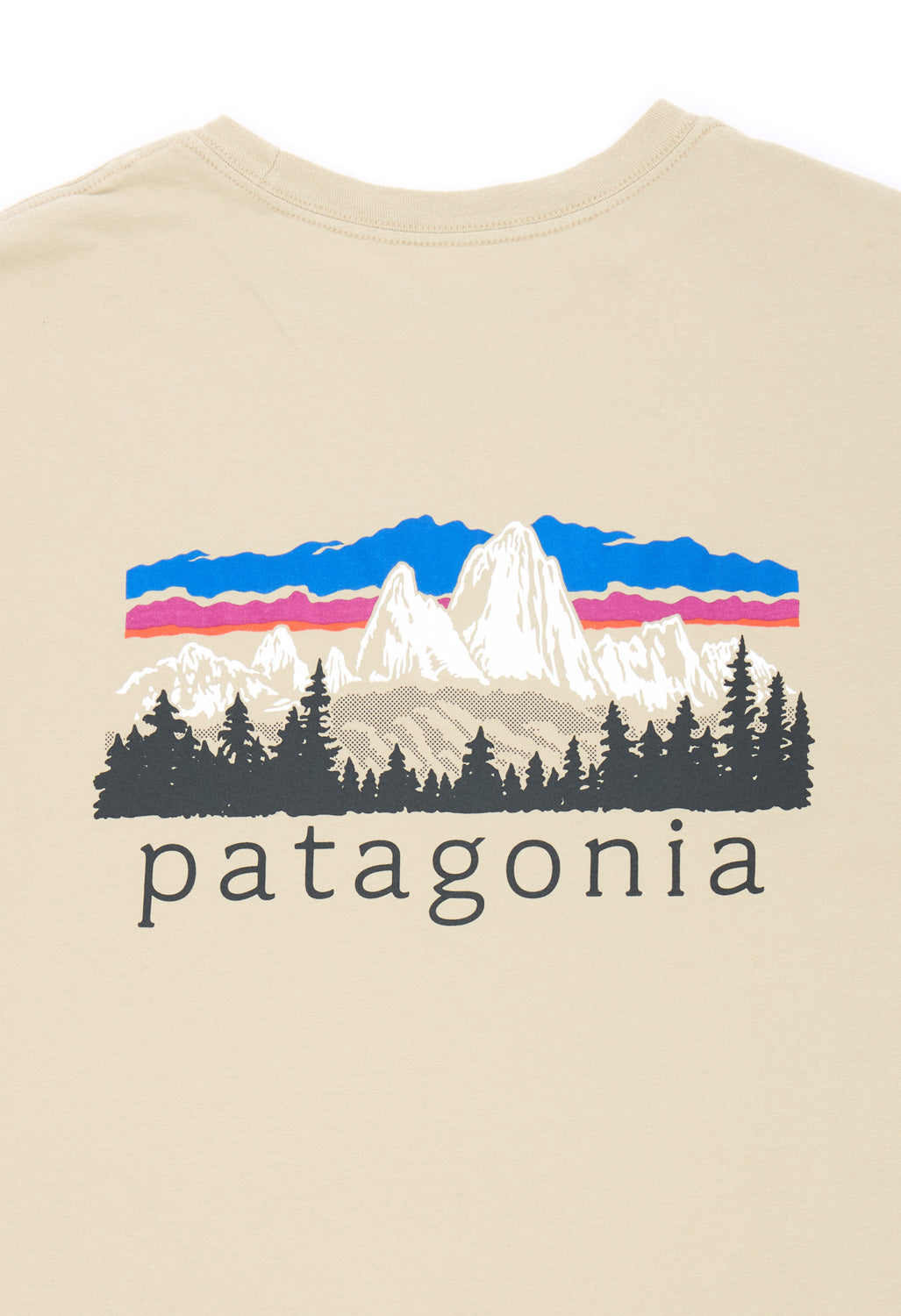 Patagonia Men's Fitz Roy Foothills Ringer Tee - Weathered Stone