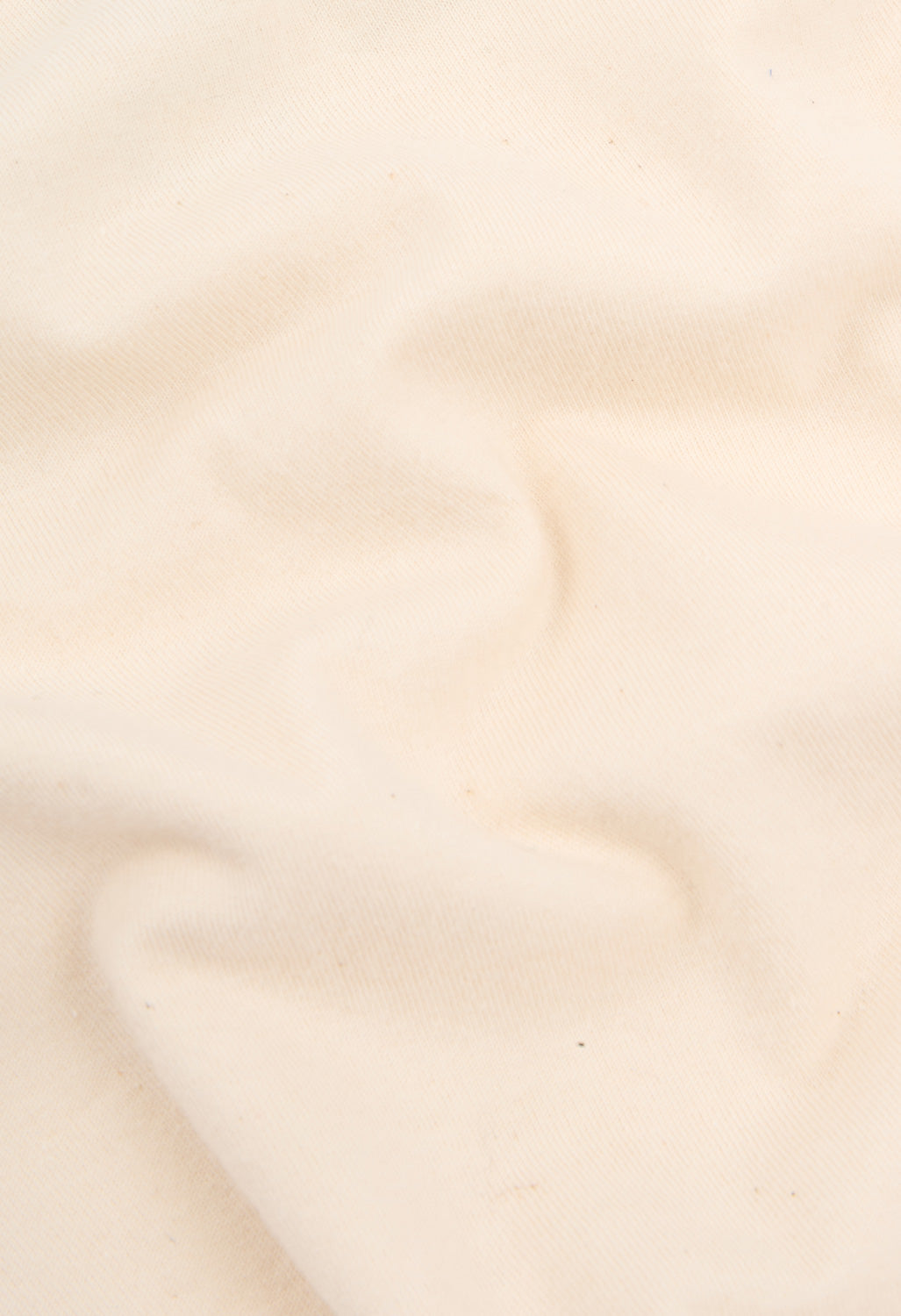 Patagonia Women's Fitz Roy Foothills Ringer Tee - Undyed Natural