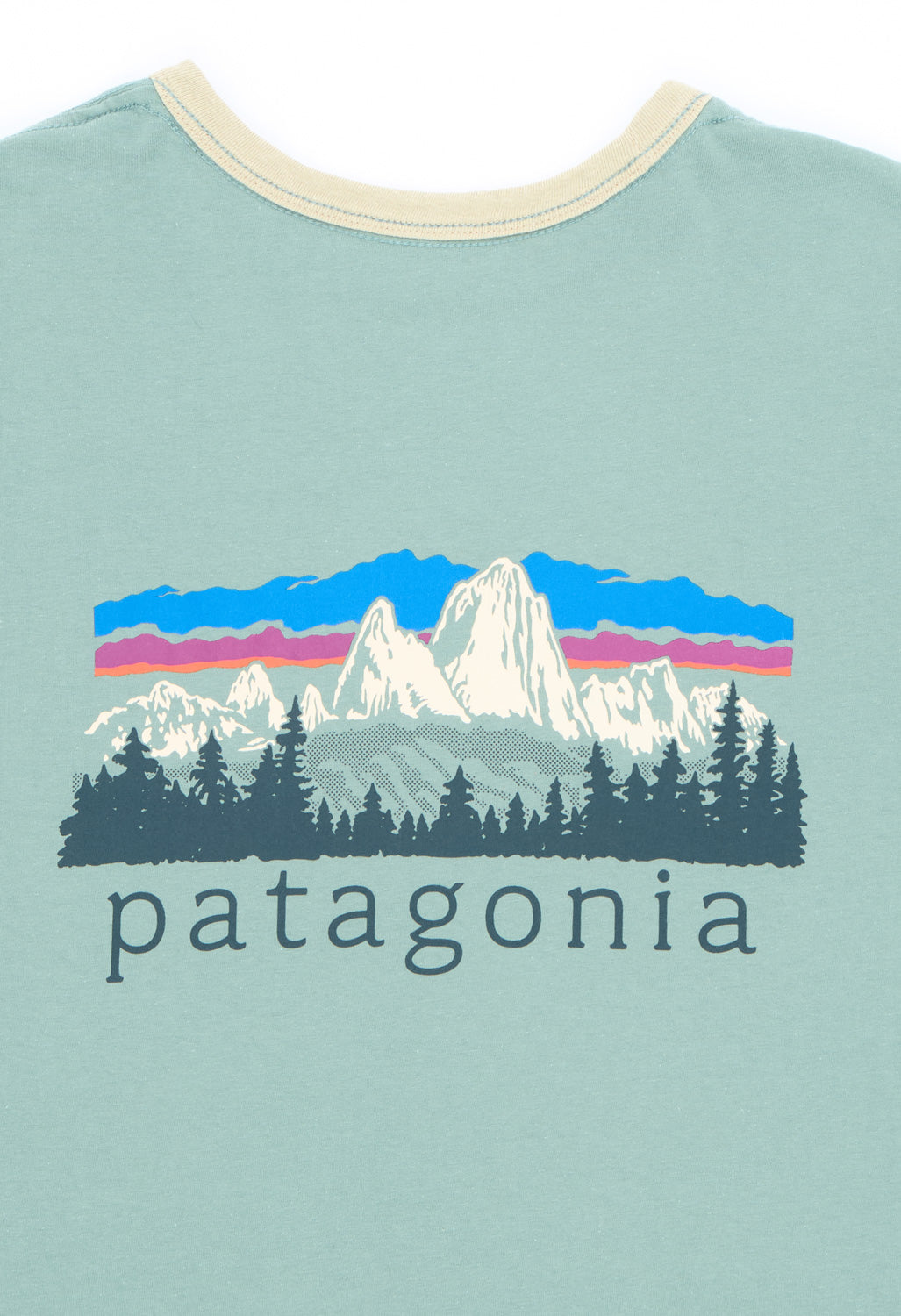 Patagonia Women's Fitz Roy Foothills Ringer Tee - Cover Green