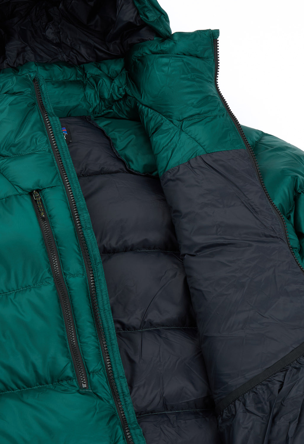 Patagonia Men's Fitz Roy Down Hoody - Cascade Green