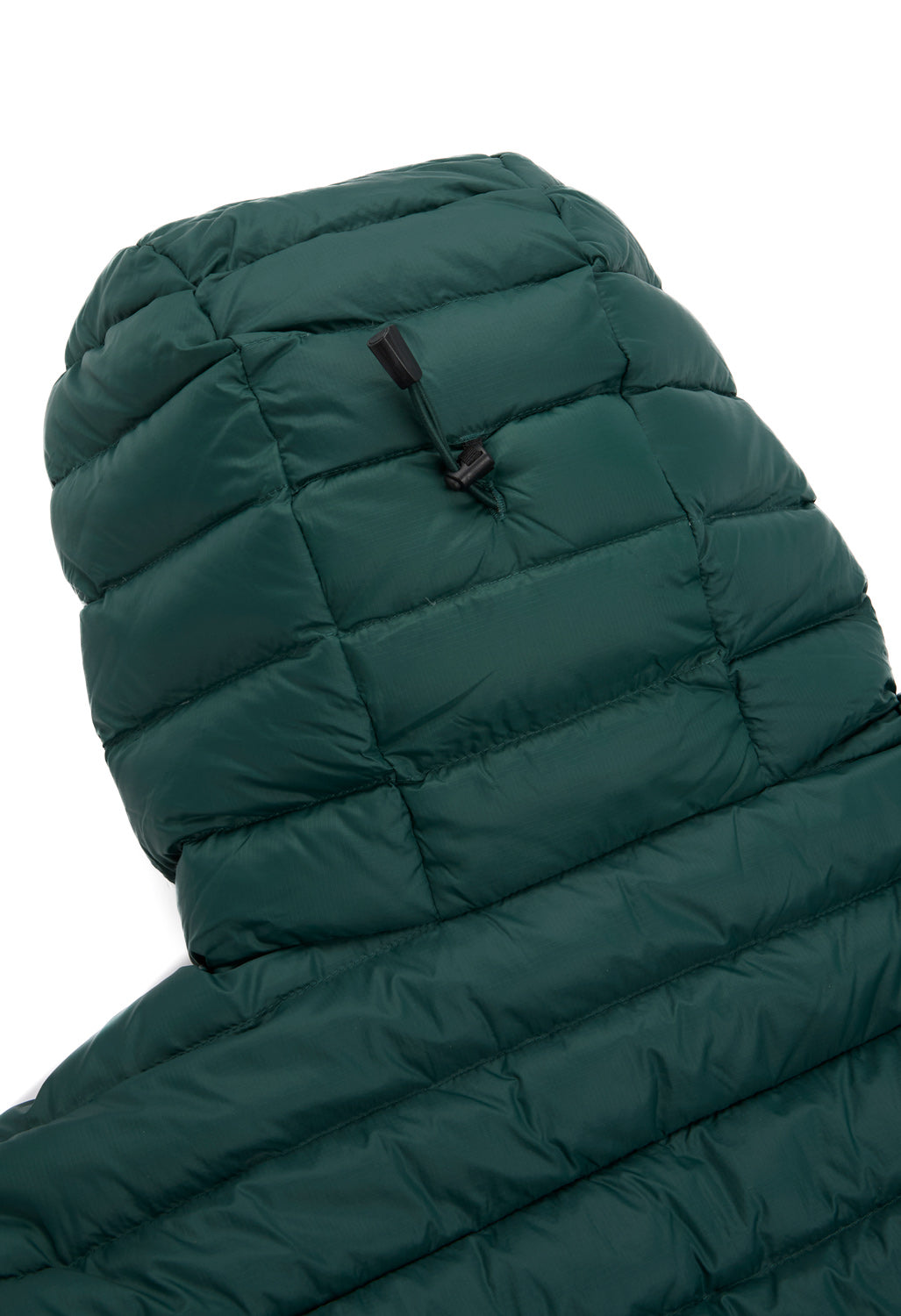 Patagonia Men's Down Hoody - Cascade Green