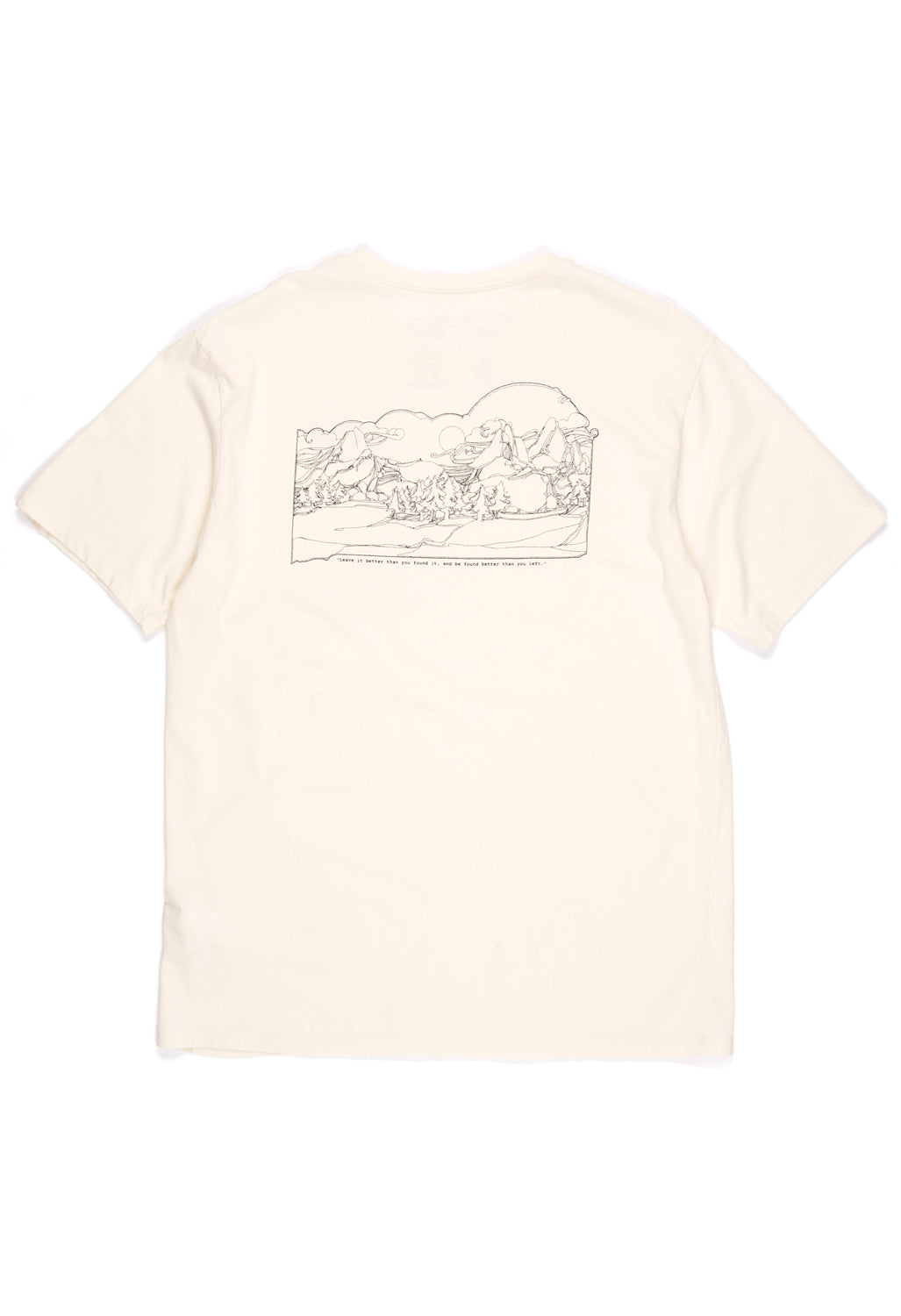 Patagonia Men's Lost & Found Organic Pocket T-Shirt 4