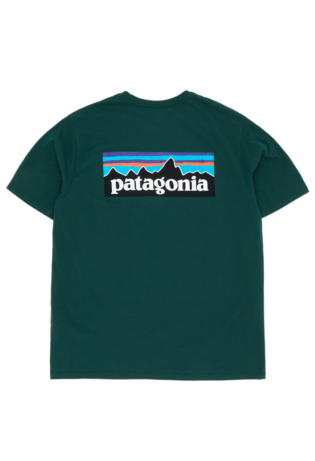 Patagonia Men's P-6 Logo Responsibili-Tee - Cascade Green