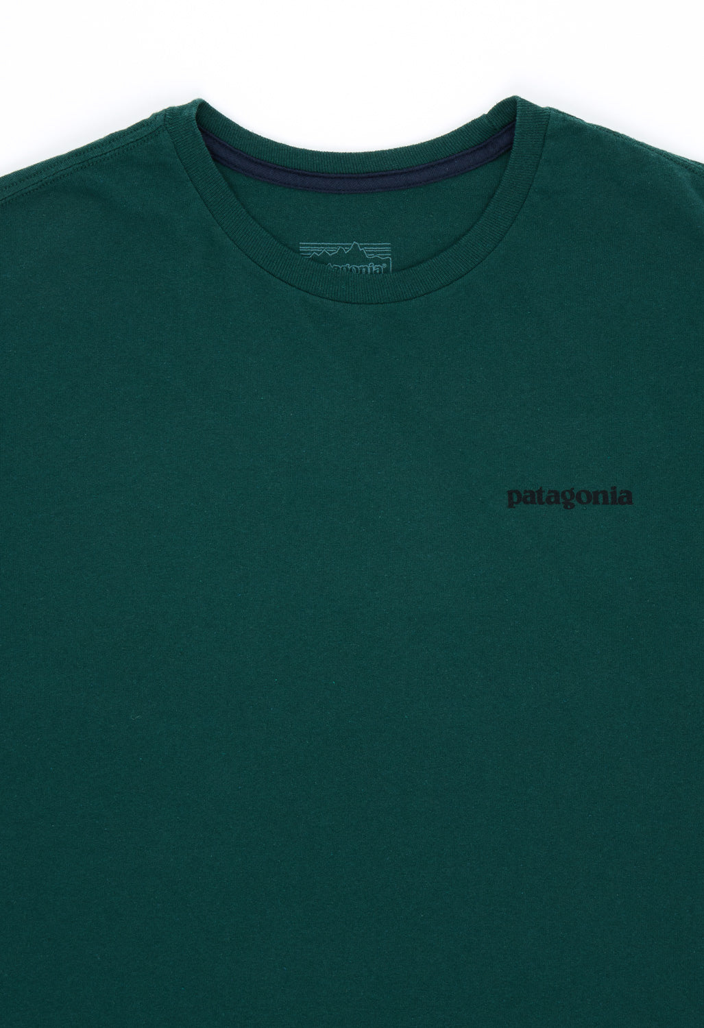 Patagonia Men's P-6 Logo Responsibili-Tee - Cascade Green