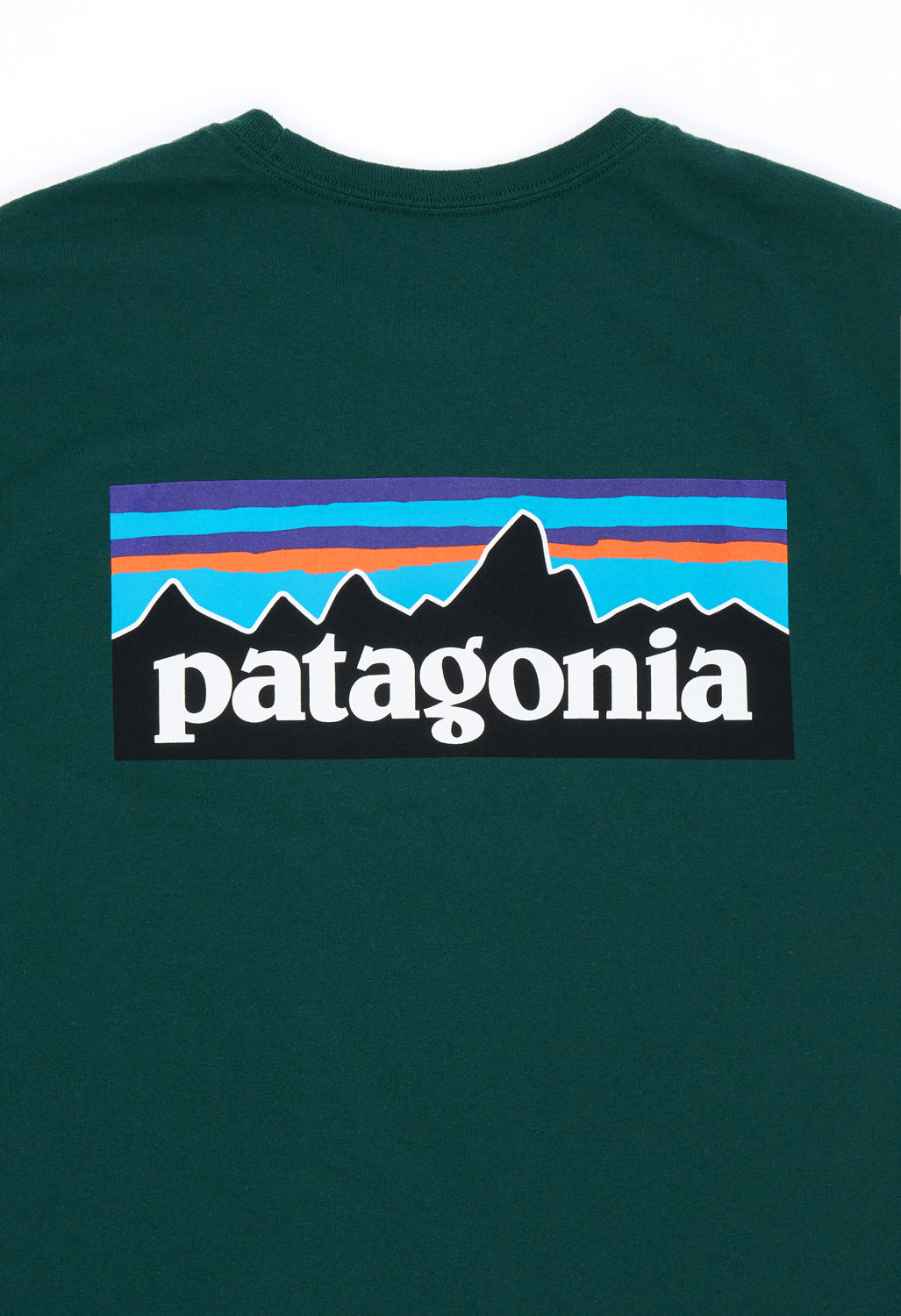 Patagonia Men's P-6 Logo Responsibili-Tee - Cascade Green