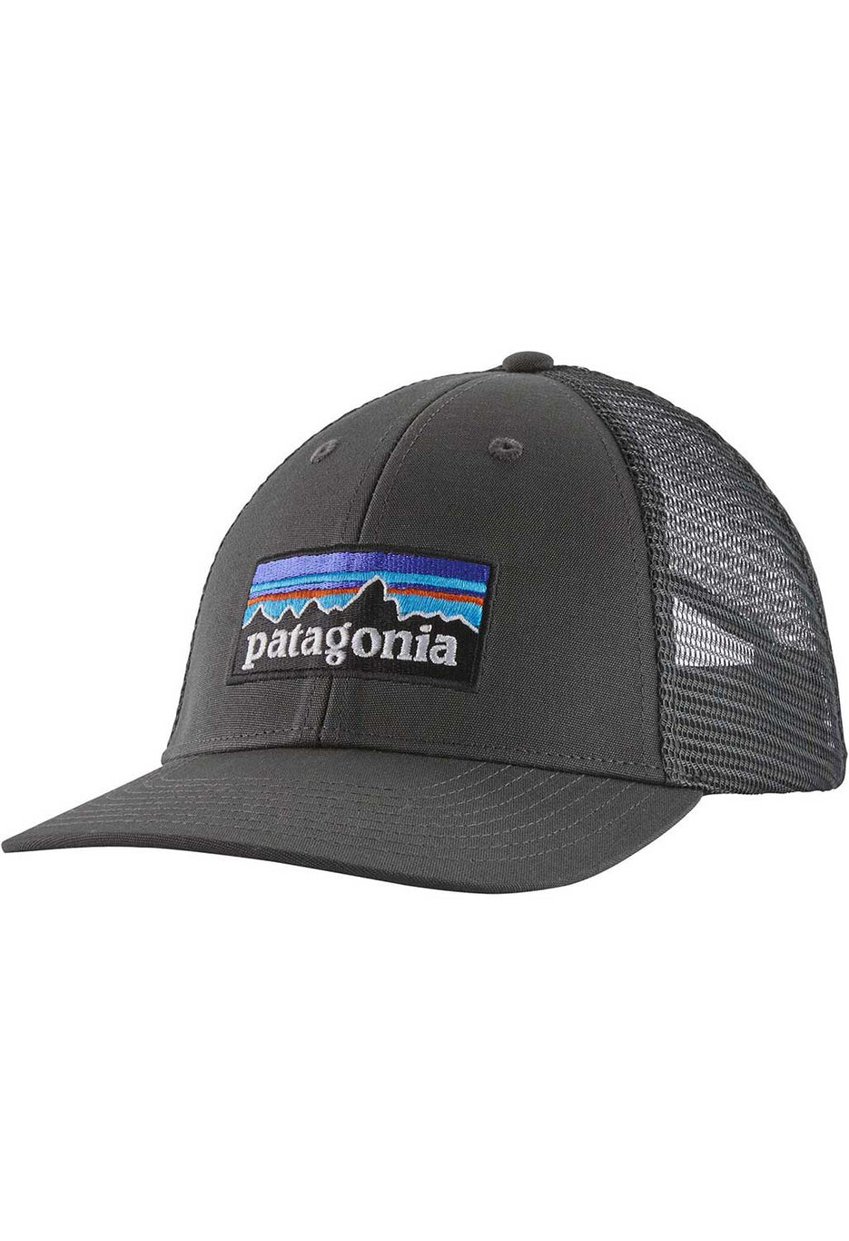 Patagonia P-6 LoPro Trucker Hat 0