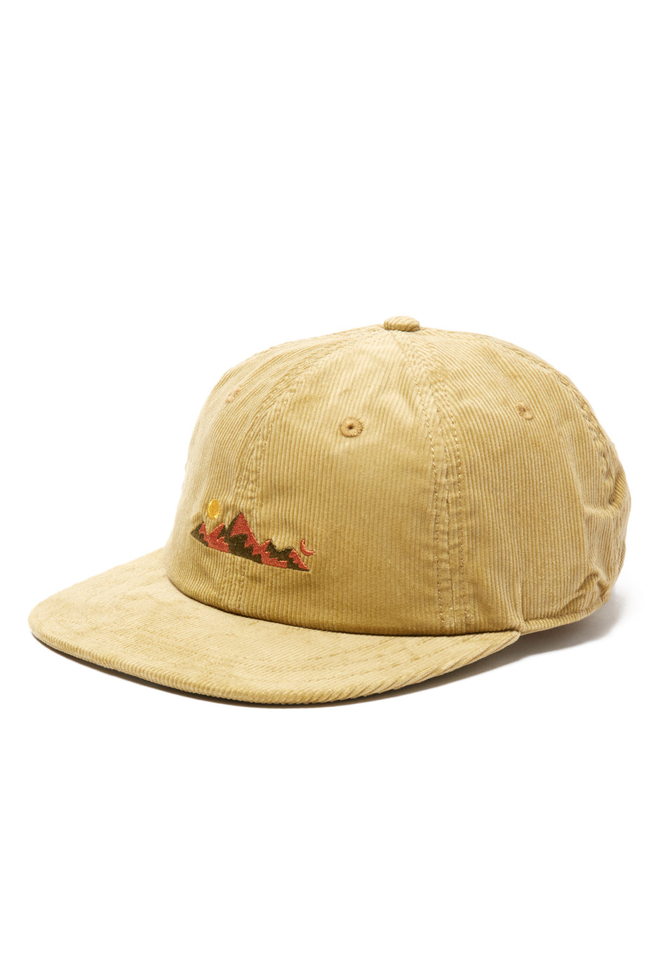 Patagonia Corduroy Cap 1