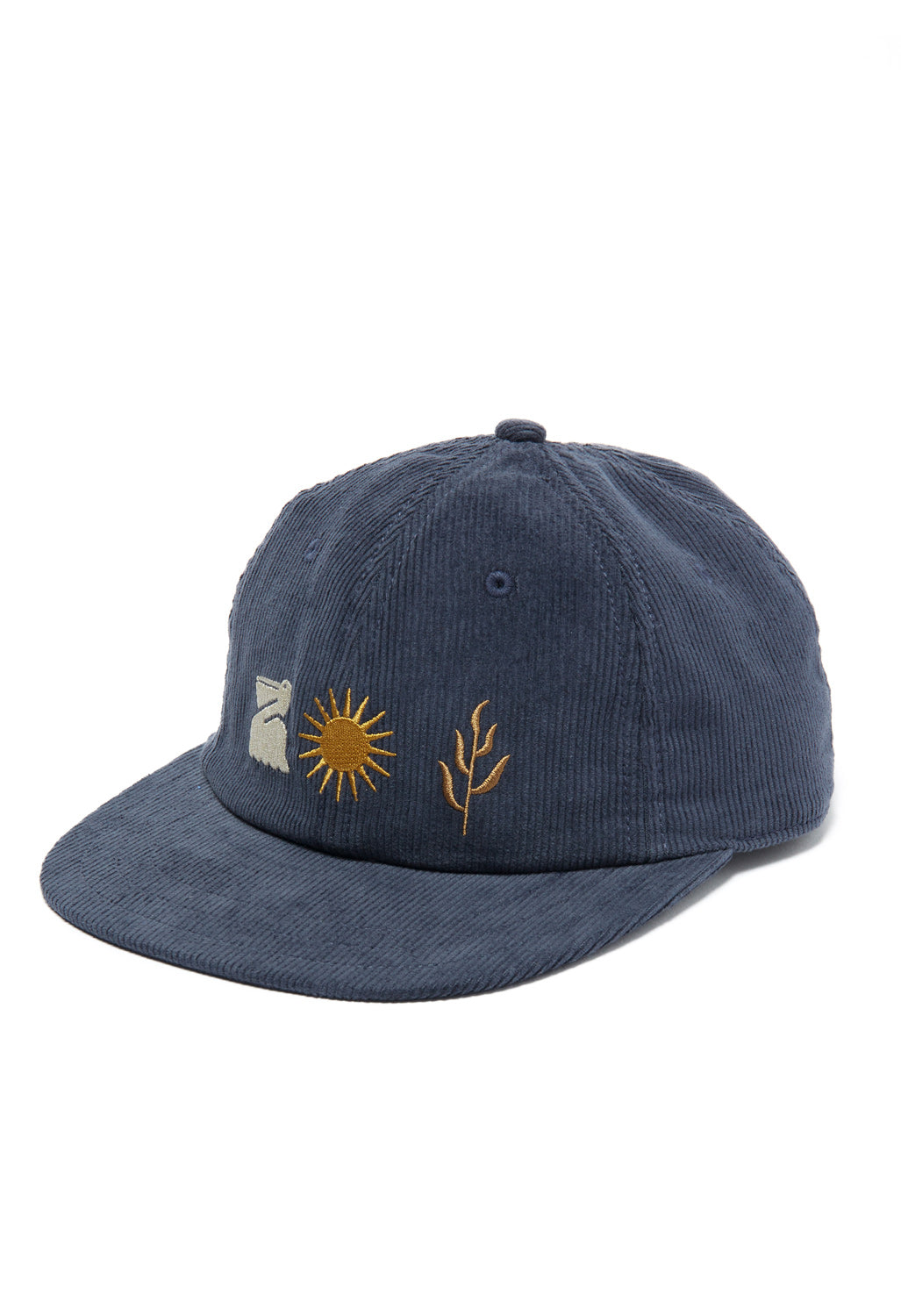 Patagonia Corduroy Cap - Navy Blue