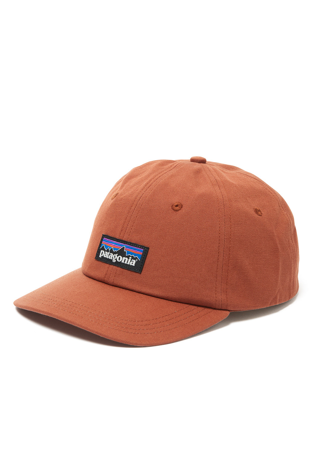 Patagonia P-6 Label Trad Cap 2