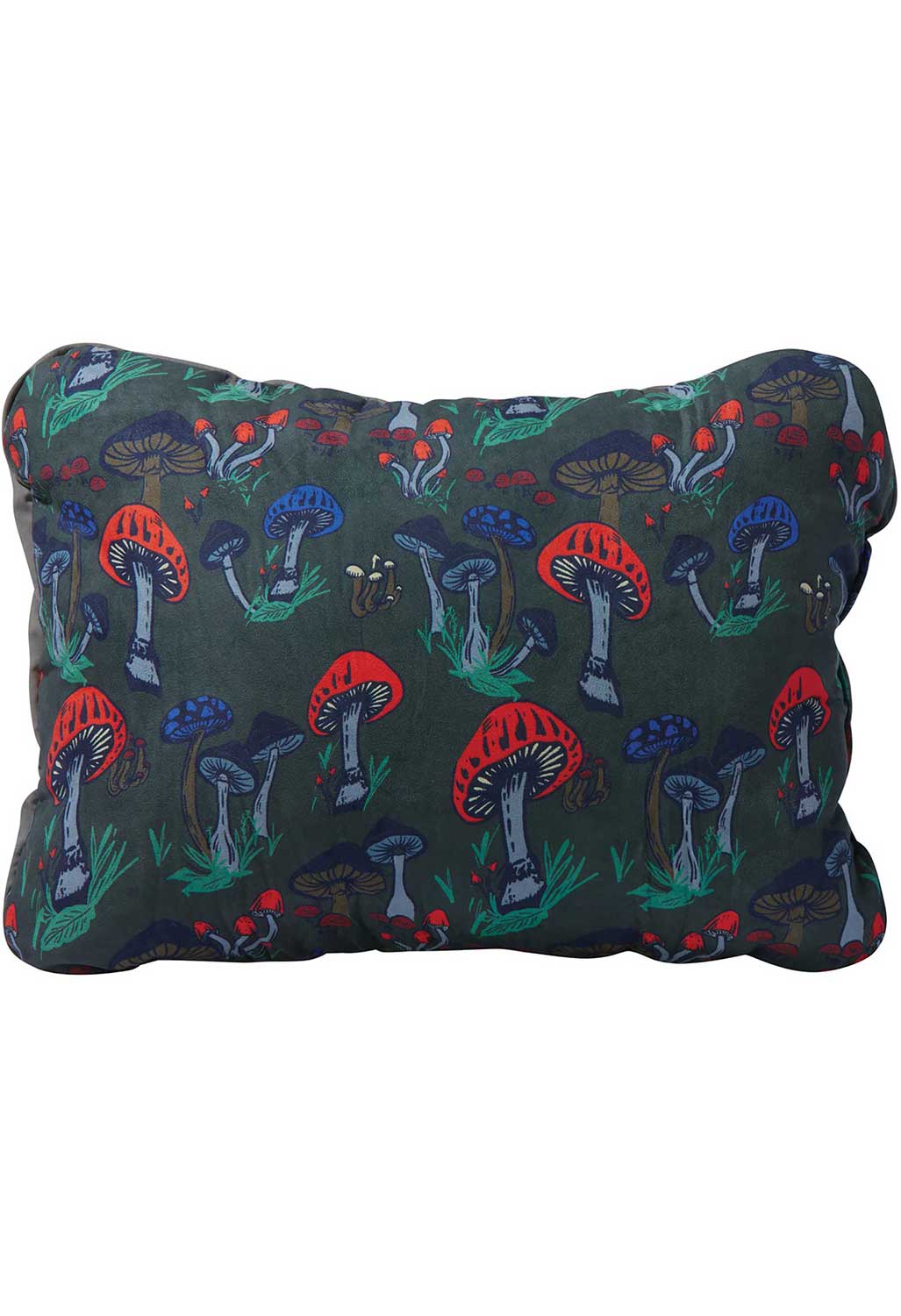 Therm-a-Rest Compressible Pillow Cinch Small 0