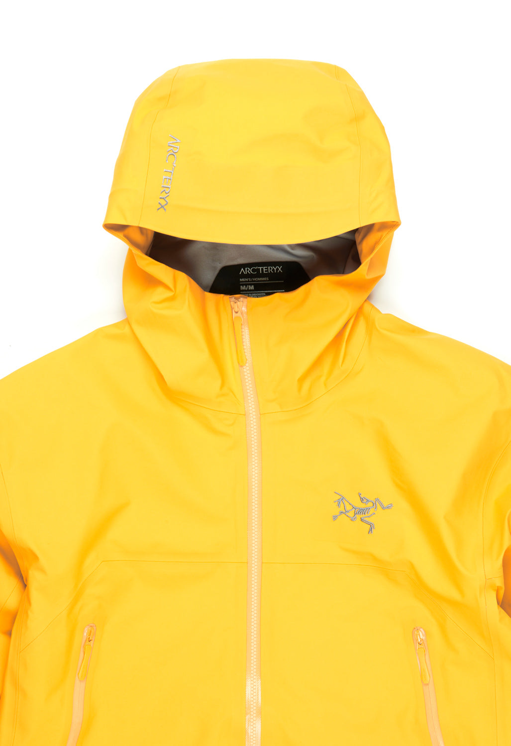 Arc'teryx Men's Beta GORE-TEX Jacket - Edziza