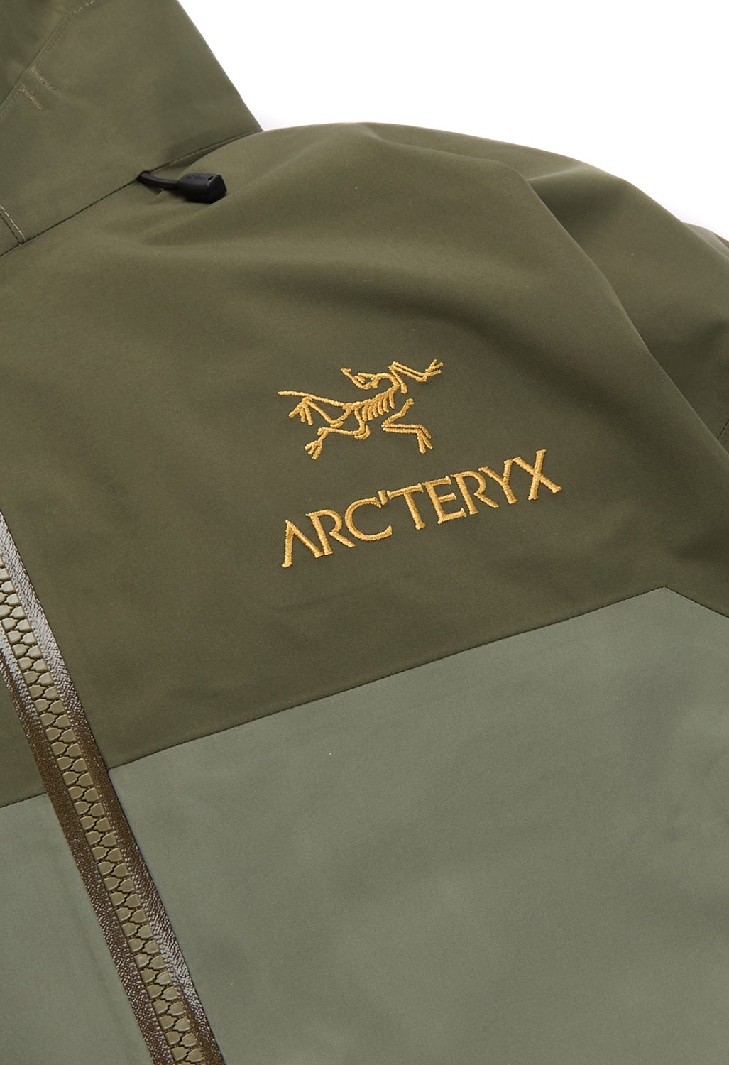 Arc'teryx Men's Beta AR Jacket - Forage / Tatsu
