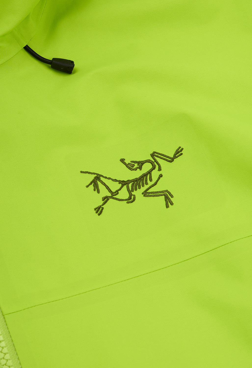 Arc'teryx Men's Beta SL Jacket - Mantis / Tatsu