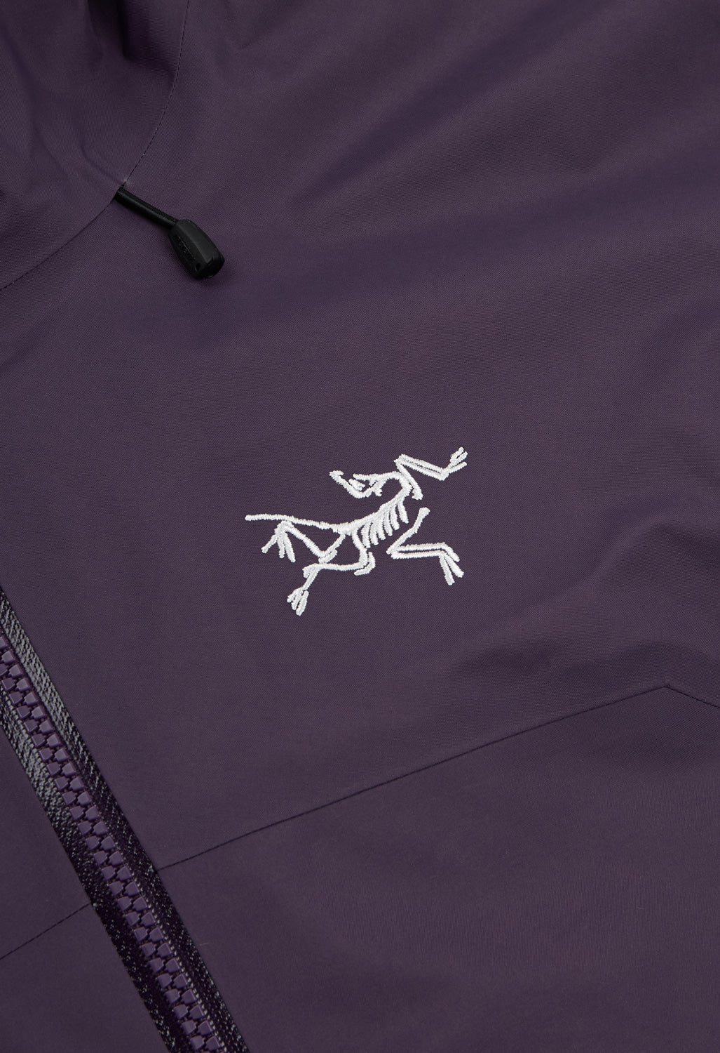 Arc'teryx Women's Beta SL Jacket - Moondrop