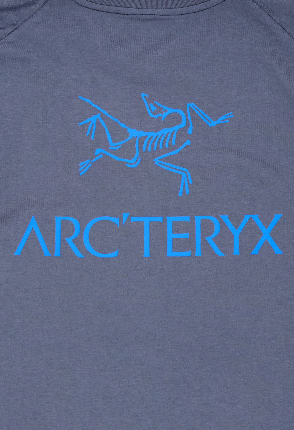 Arc'teryx Men's SL Cotton Bird Word Short Sleeved T-Shirt - Dark Stratus / Fluidity