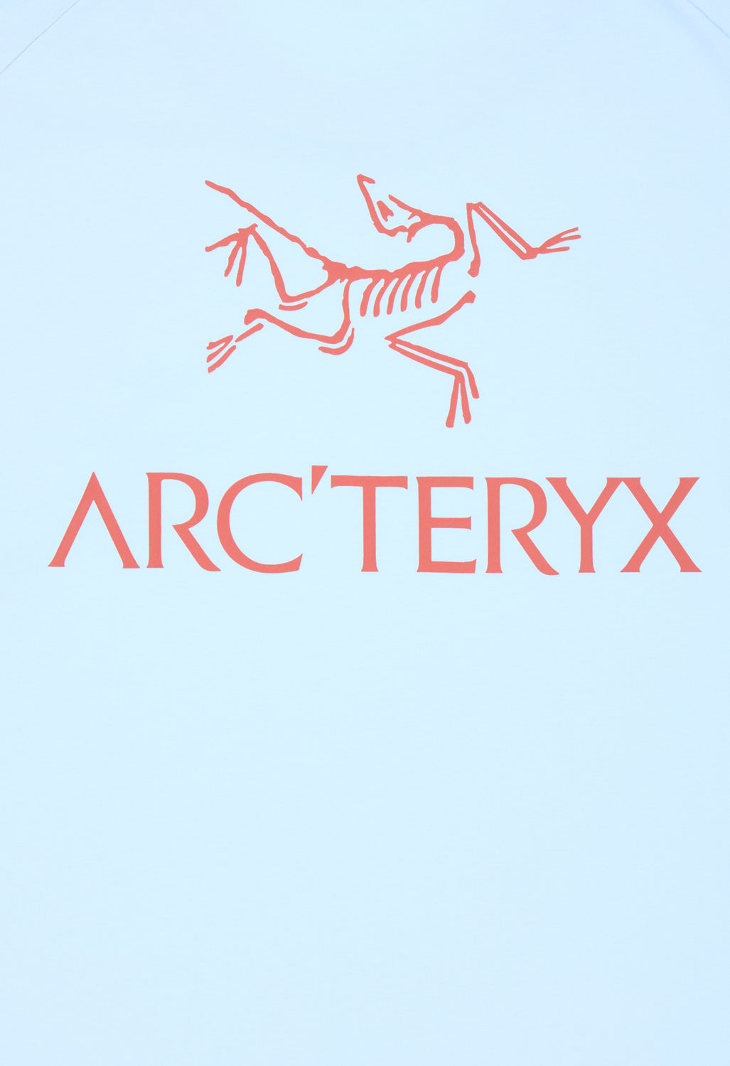 Arc'teryx Men's SL Cotton Bird Word Short Sleeved T-Shirt - Alpine Blue / Stone Red