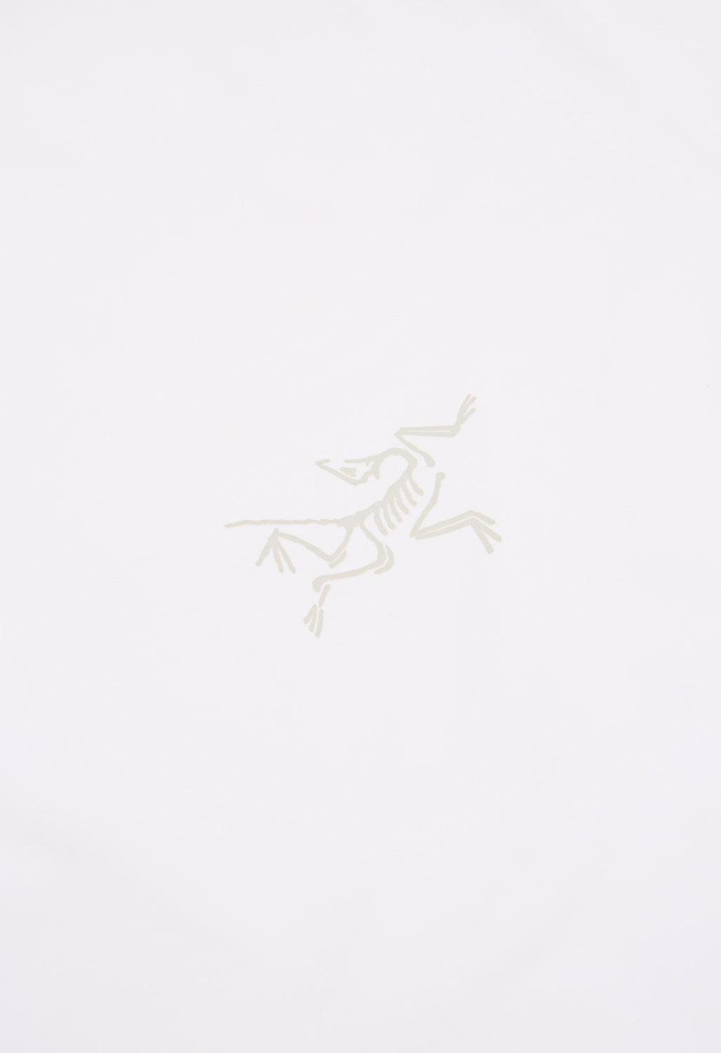 Arc'teryx Men's Kragg SL Short Sleeve T-Shirt - White Light
