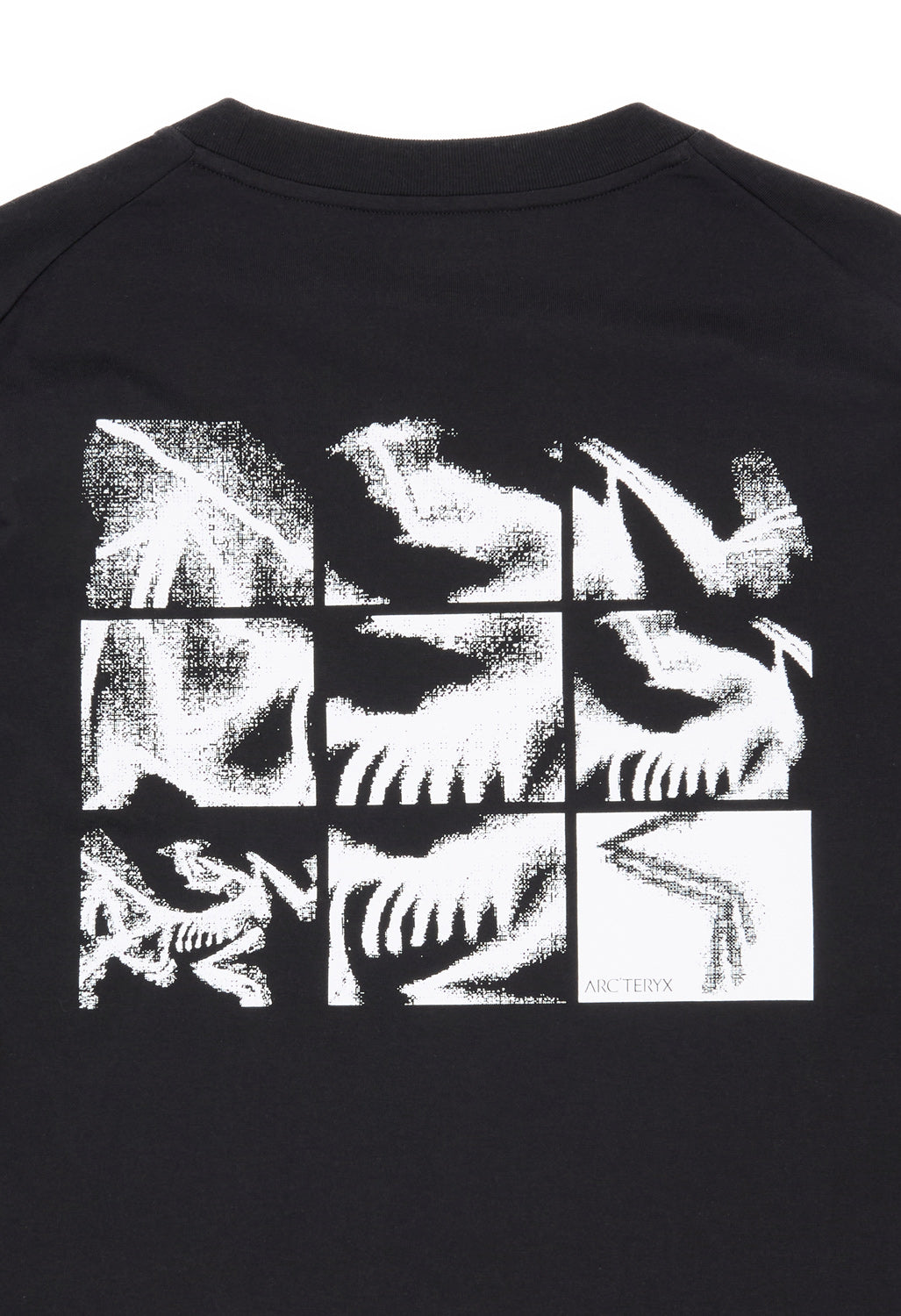 Arc'teryx Men's Kragg SL Bird Tile Long Sleeve T-Shirt - Black / Arctic Silk