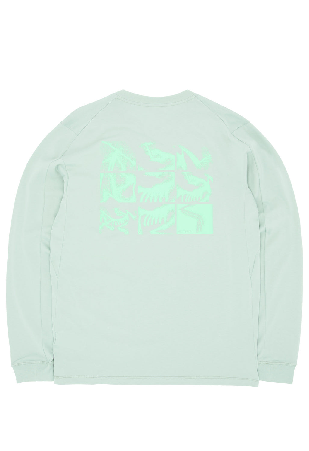 Arc'teryx Men's Kragg SL Bird Tile Long Sleeve T-Shirt - Stone Green / Phosphorescent